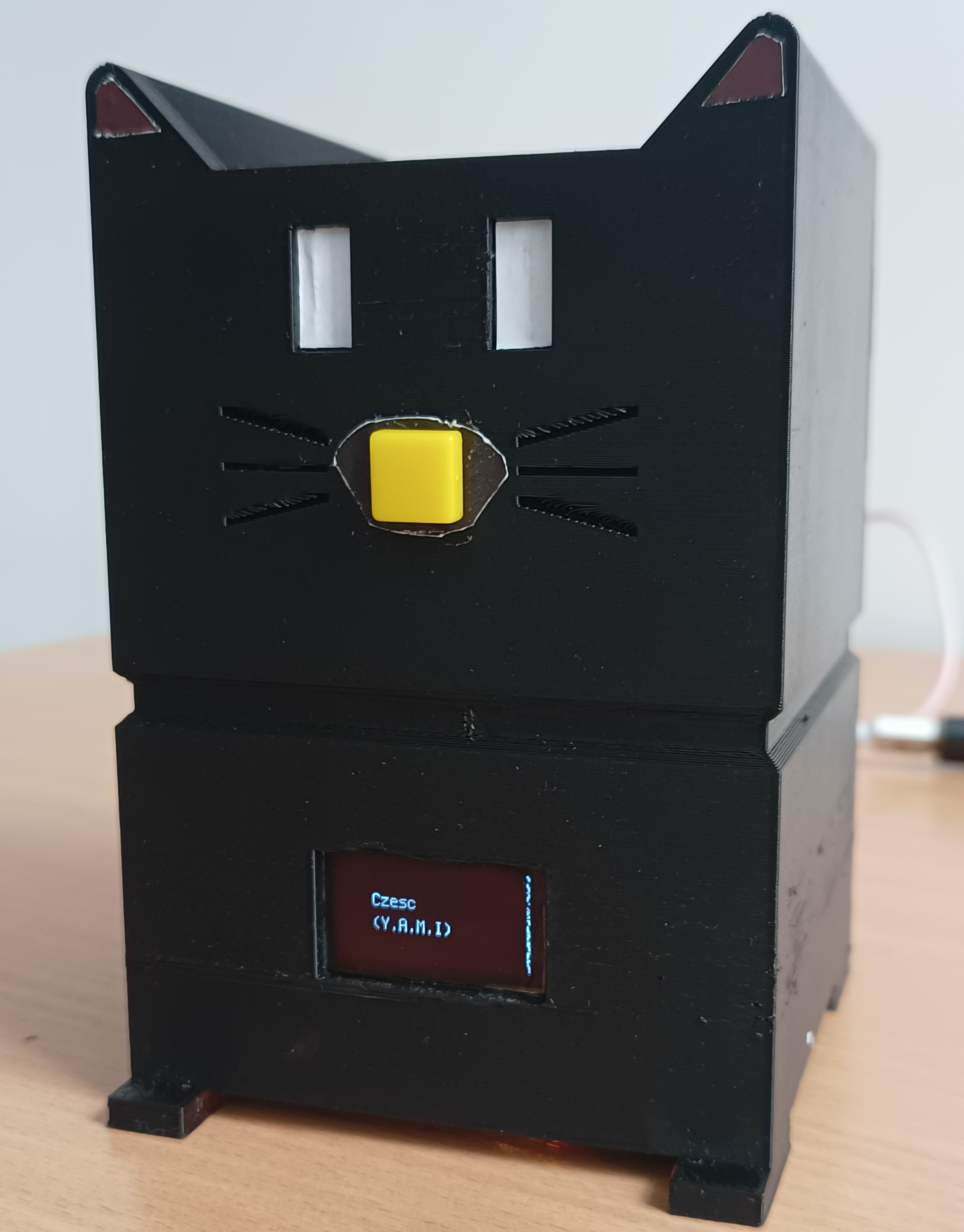 Miniaturka Project A-caT